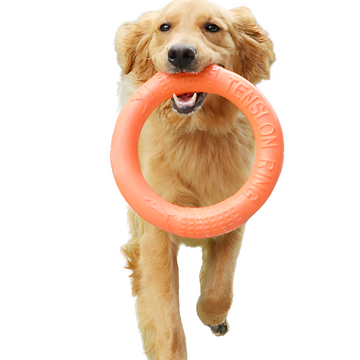 Dog Mastich Disc Toy
