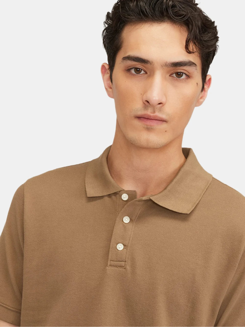 Der geröstete Polo