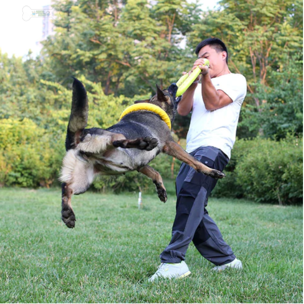 Dog Mastich Disc Toy