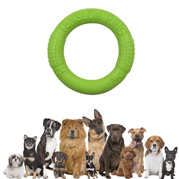Dog Mastich Disc Toy