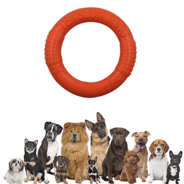 Dog Mastich Disc Toy