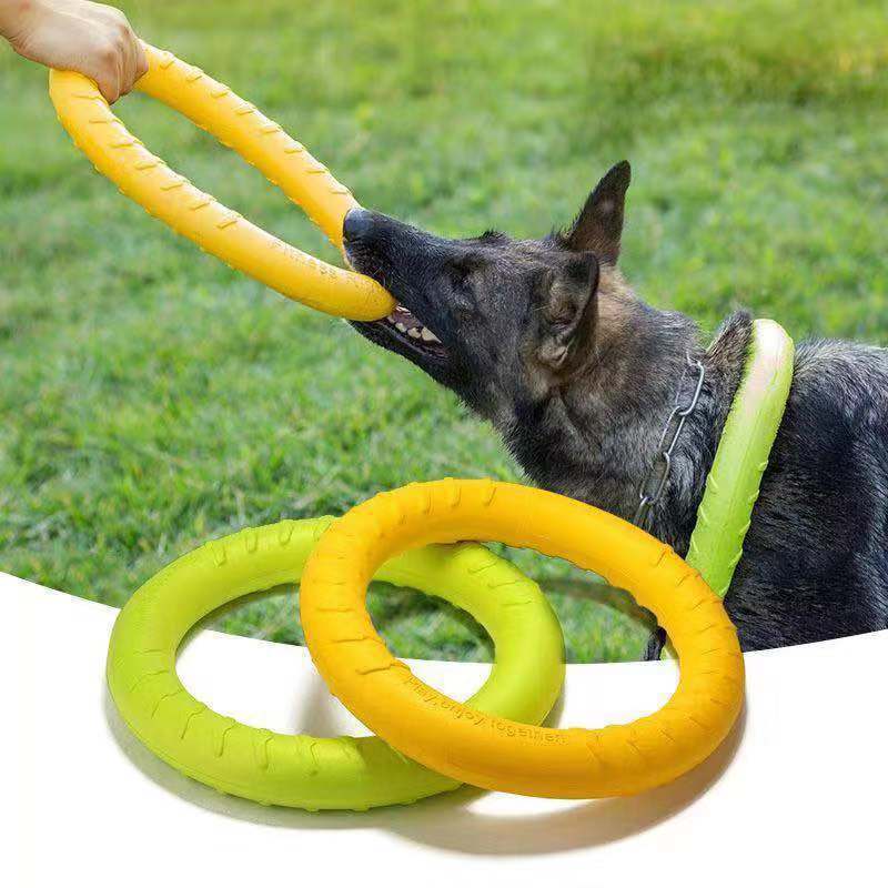 Dog Mastich Disc Toy