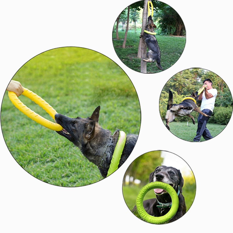 Dog Mastich Disc Toy
