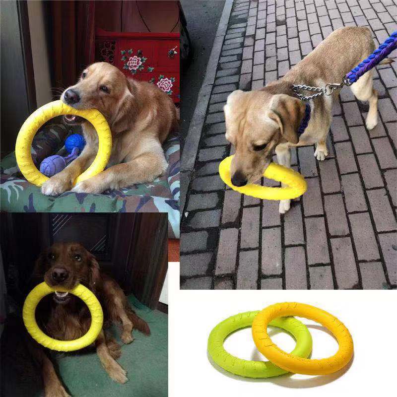 Dog Mastich Disc Toy